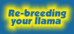 Re-breeding logo