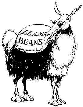 Llama beans cartoon