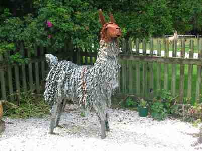 steel llama