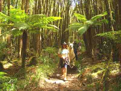 Penny on the trail