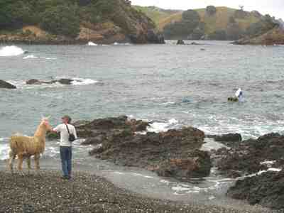 Jos on beach