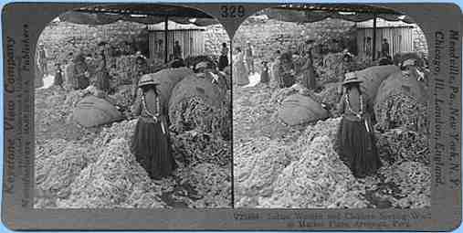 Stereoview picture of sorting llama wool in Peru