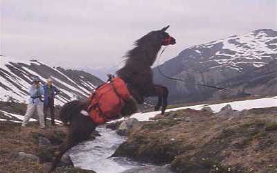 Pizarro jumping creek