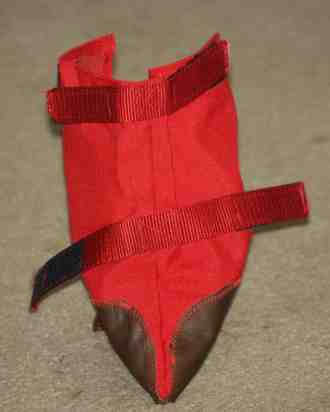 llama boot, back view