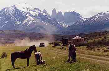 Sheep ranch with Torres del Paine mountains