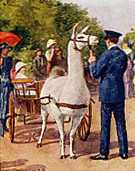 Postcard detail, llama and cart