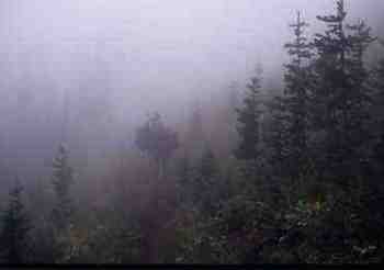 Foggy Pass