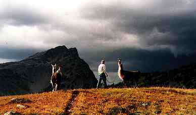 Storm on Pacific Crest Trail