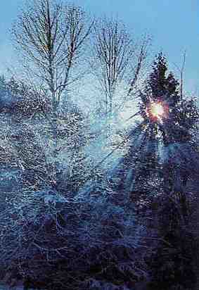 1978 Christmas card