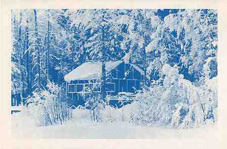1979 Christmas card