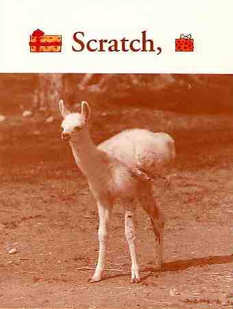 1991 Christmas card