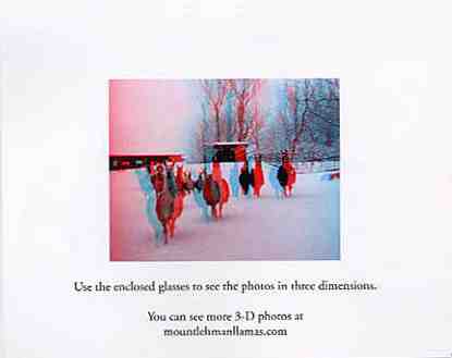 2006 Christmas card