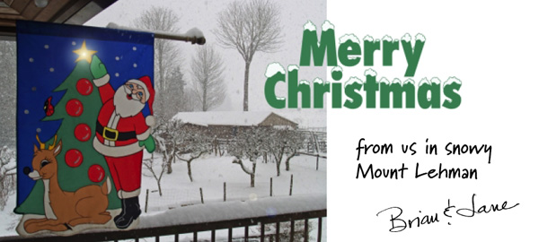 2009 Christmas card